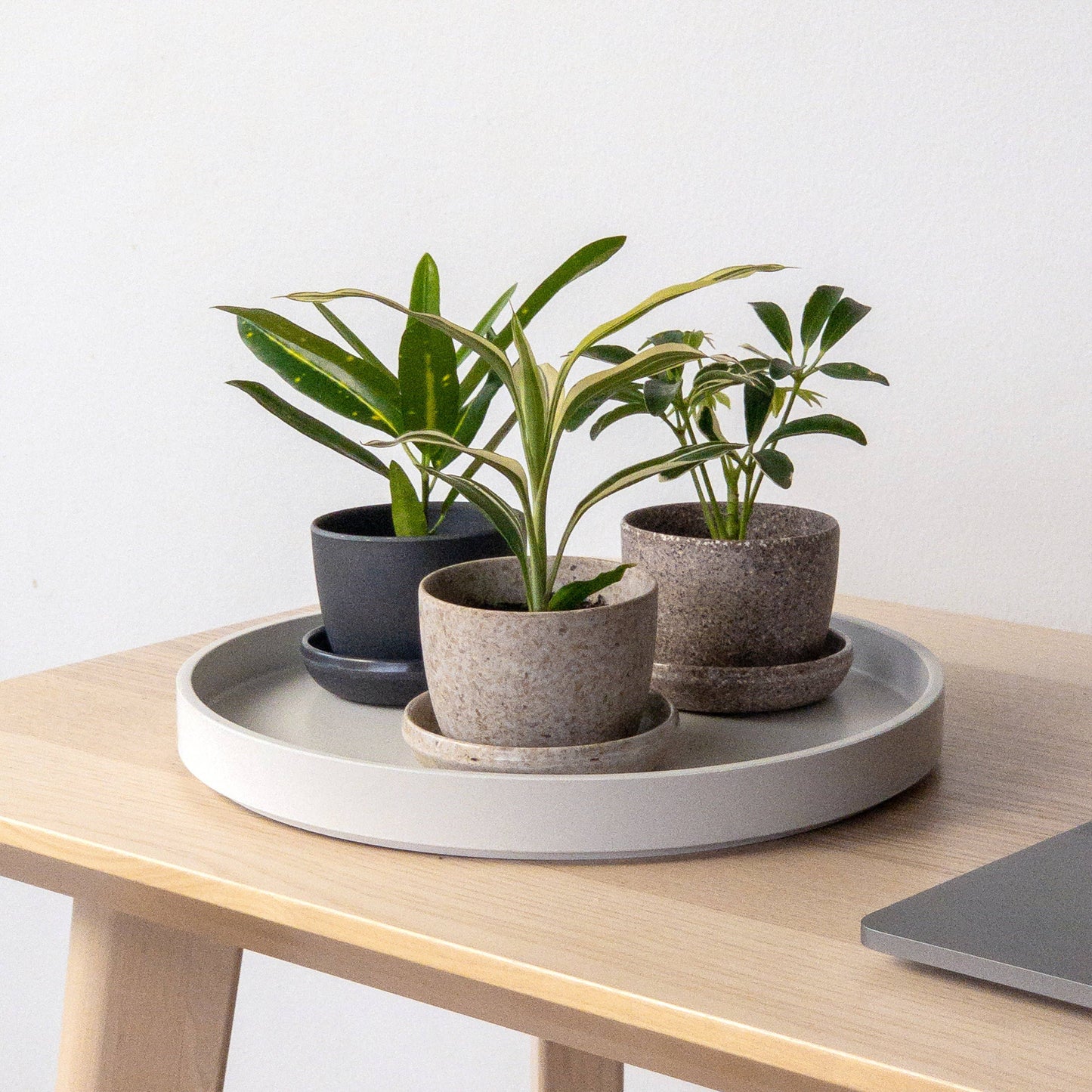 Bamboo Fibre Mini Planter Pot (Black)