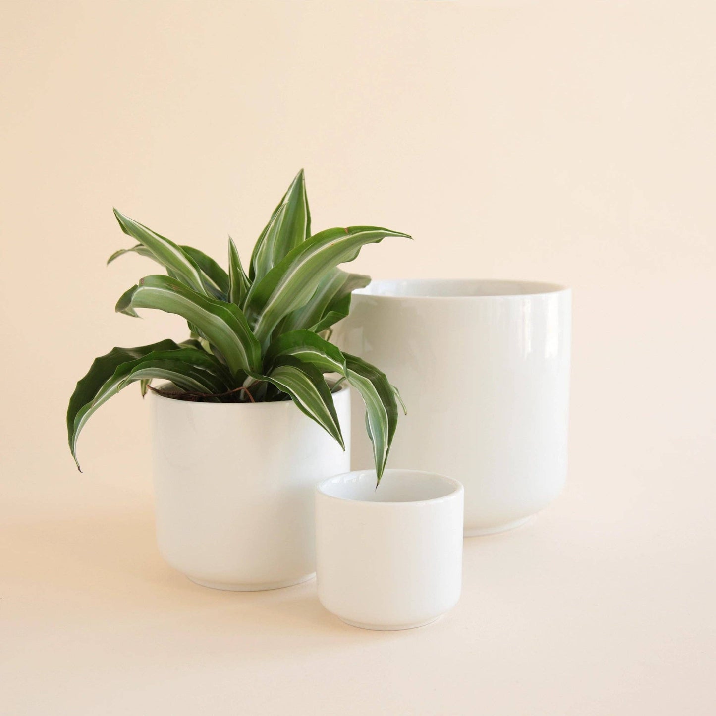 Charlie Planter | White : 6.75 inch