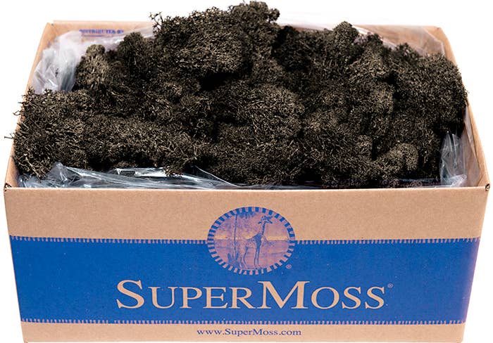 Reindeer Moss Preserved 3lb Bulk Box: Chartreuse