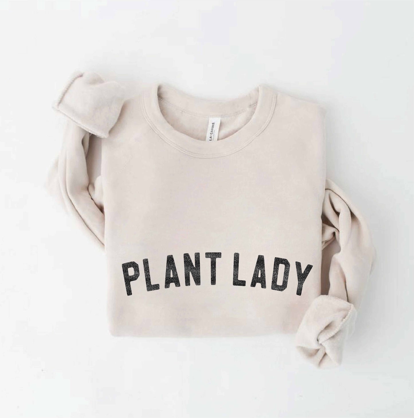 PLANT LADY Graphic Sweatshirt: MAUVE / S