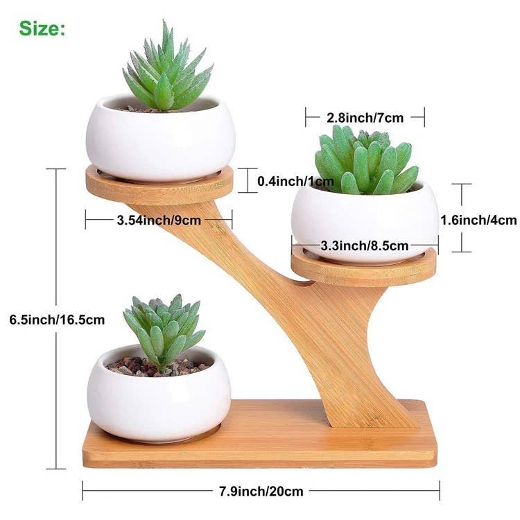 Bamboo Succulent Plant Stand | Plant Lover Bestseller