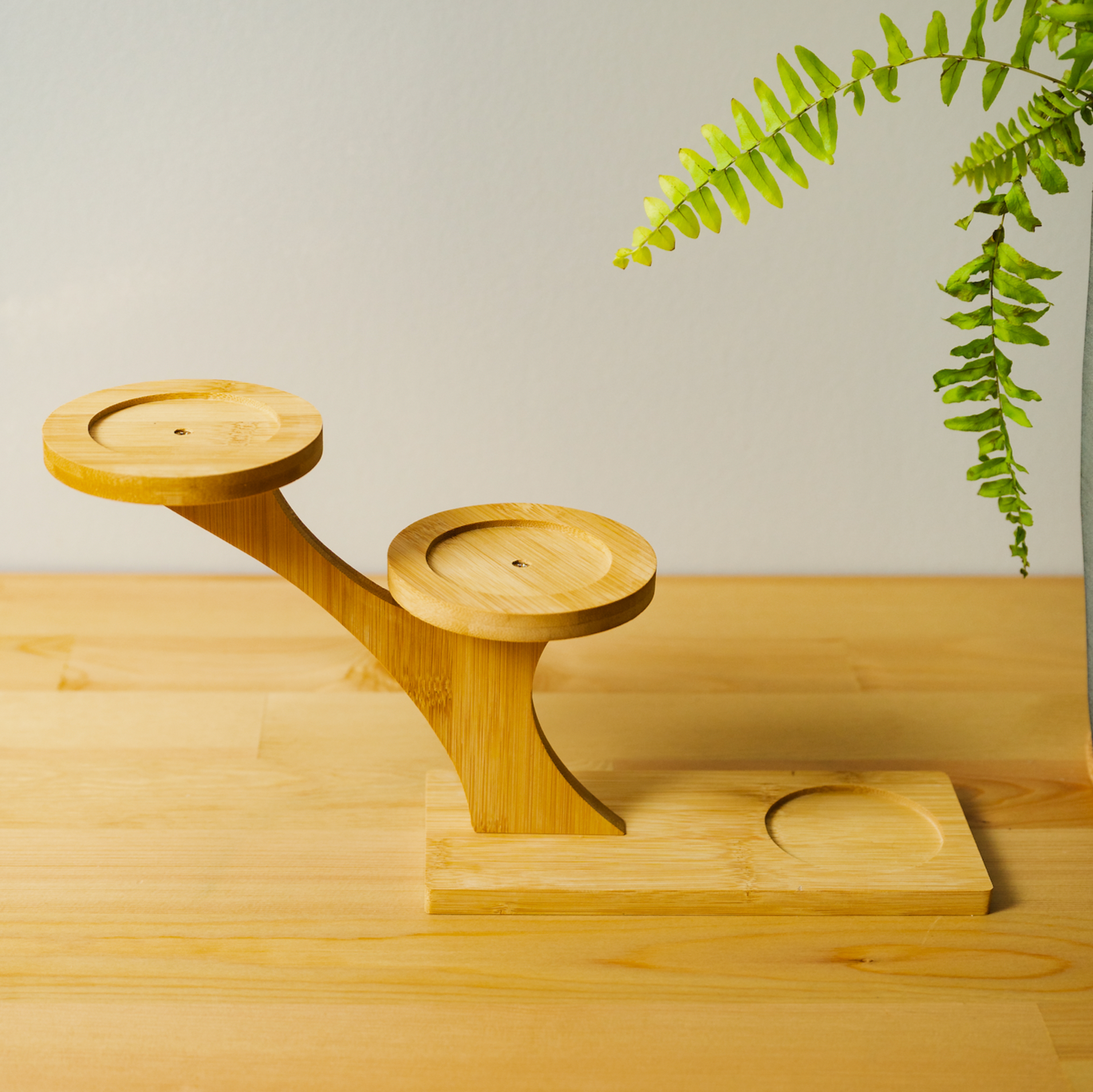 Bamboo Succulent Plant Stand | Plant Lover Bestseller