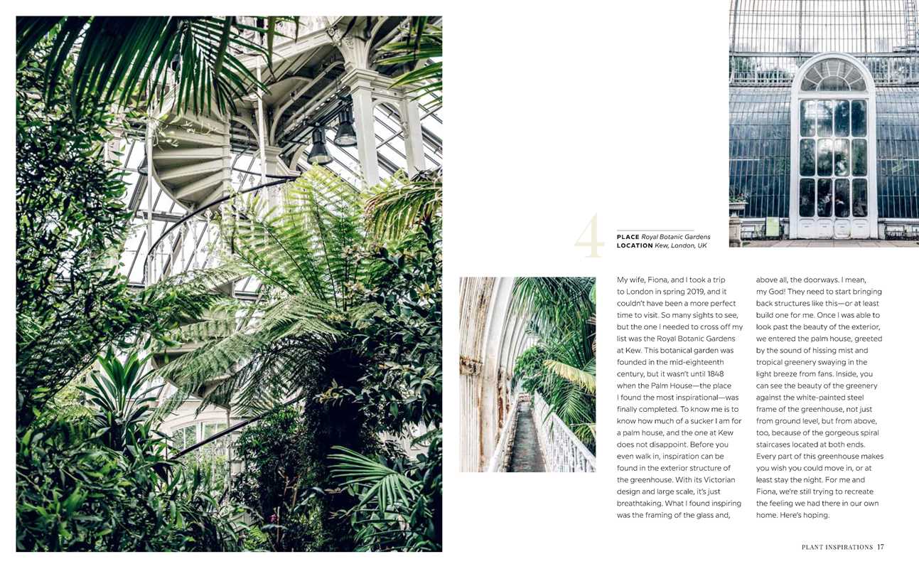 Wild Interiors by Hilton Carter: Hardcover; 224 pages / English