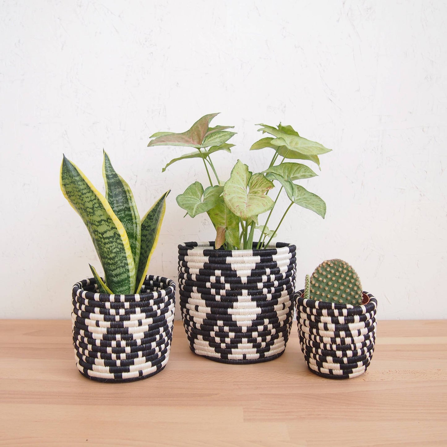 Storage Plant Basket: Ndora: Large