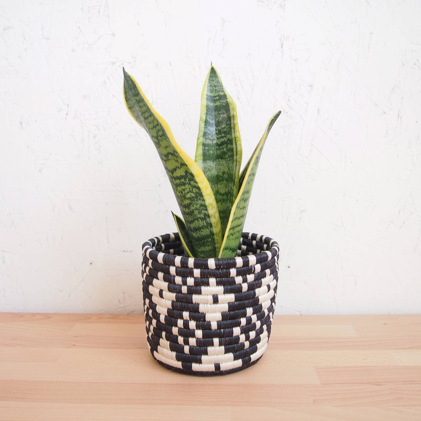 Storage Plant Basket: Ndora: Large