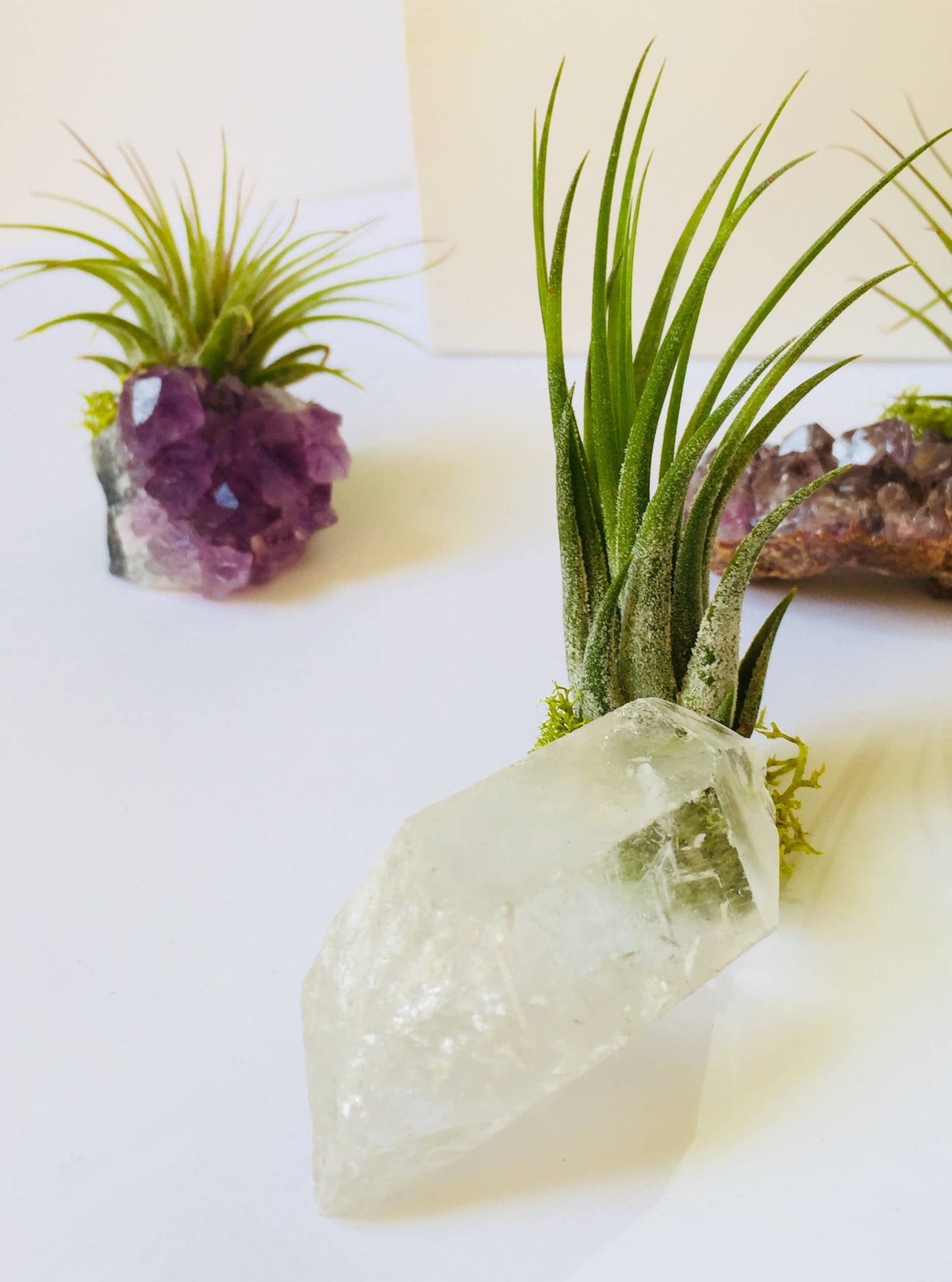 Crystal Air Plants l Air Plant Holder l Crystal Gift: Amazonite