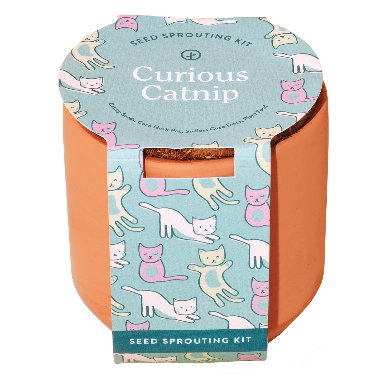 Tiny Terracotta Pet Grow Kits: Good Dog Greens