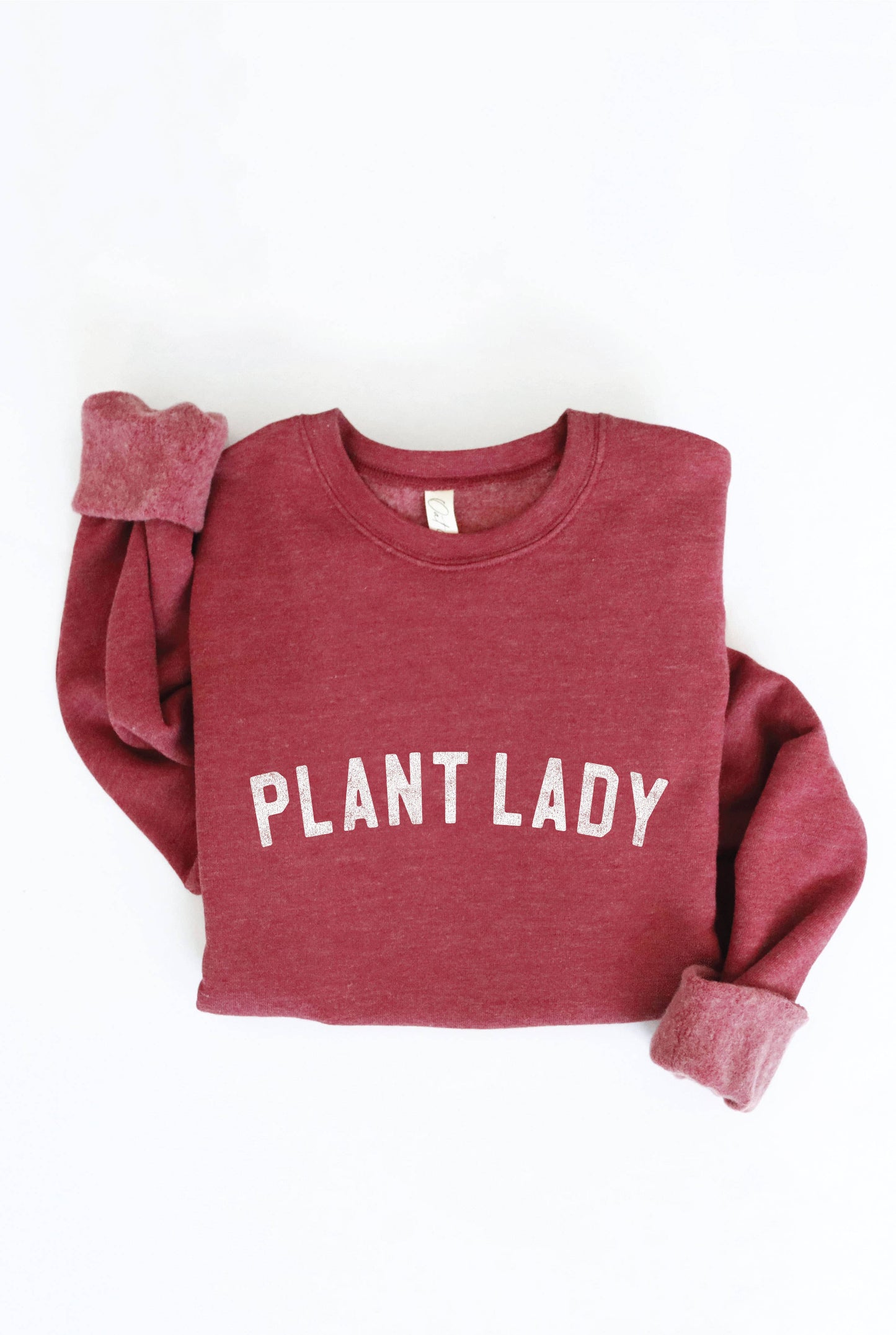 PLANT LADY Print Graphic Sweatshirt: MAUVE / XL