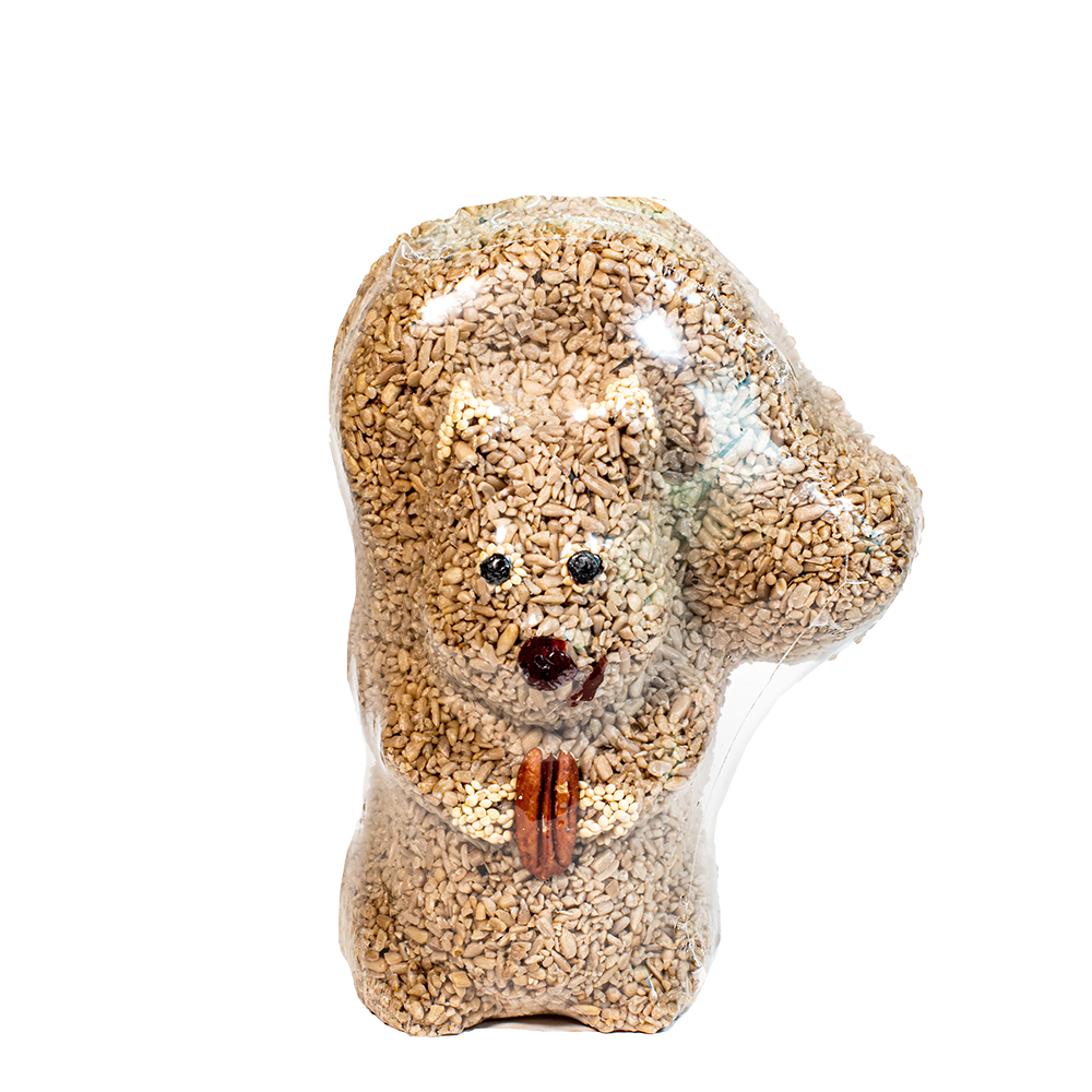 Nutzo Squirrel