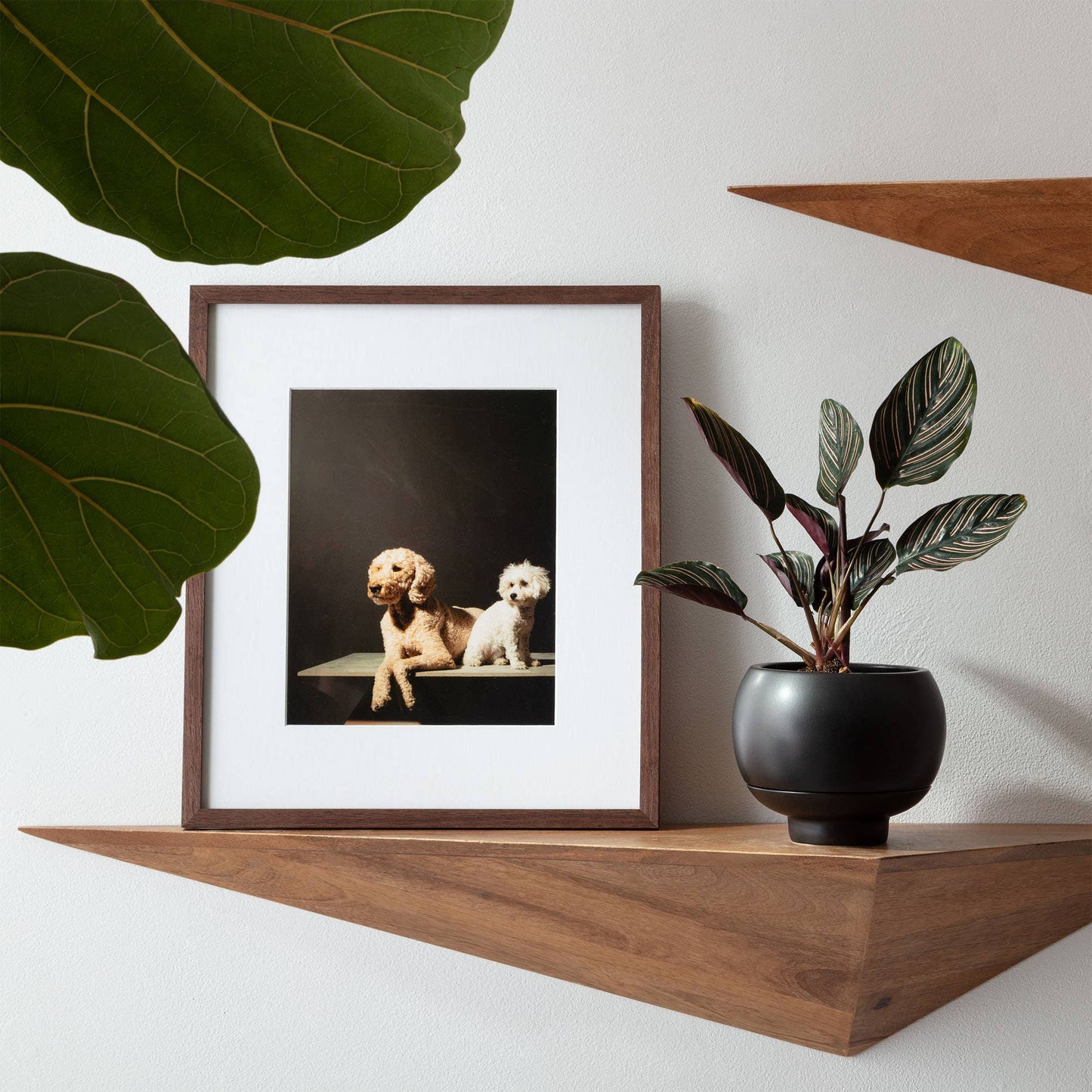 Sutton 15 Ceramic Self Watering Pot: White Dolomite