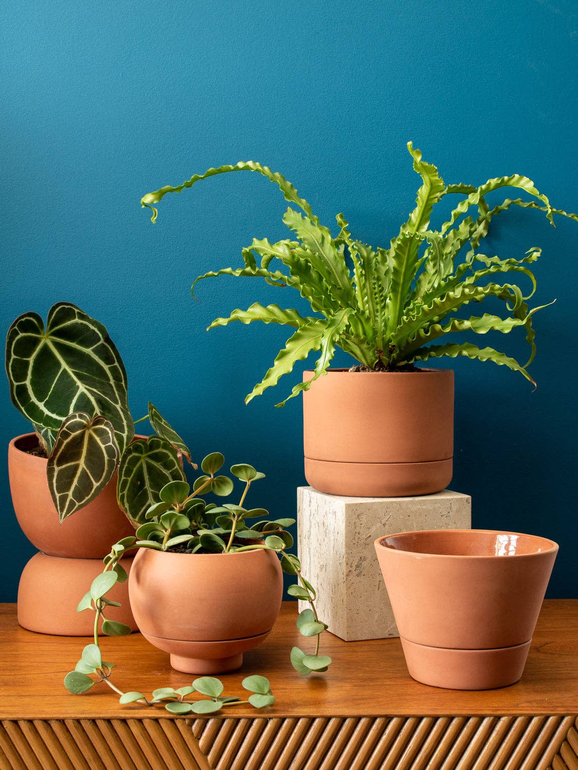 Sutton 15 Ceramic Self Watering Pot: Cobalt