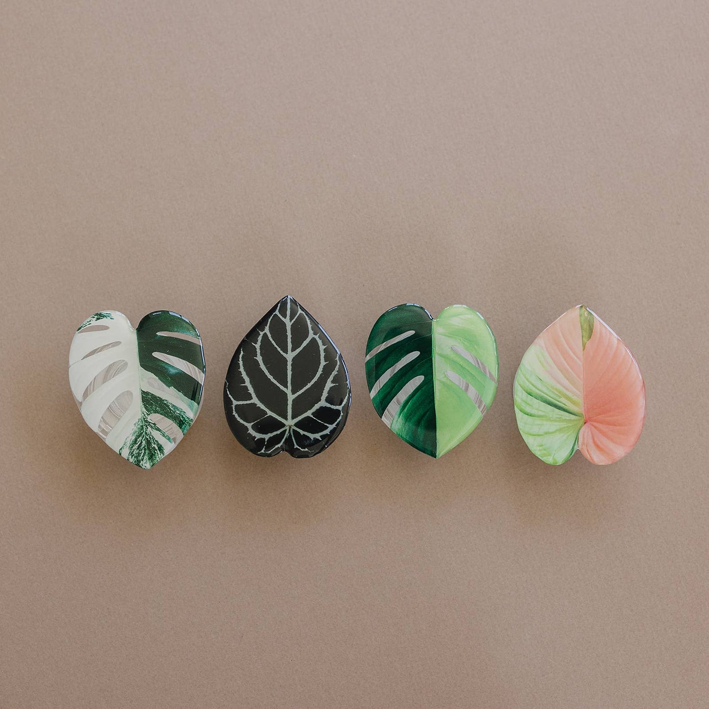 Rare Houseplant Phone Grip | Cellphone Accessory