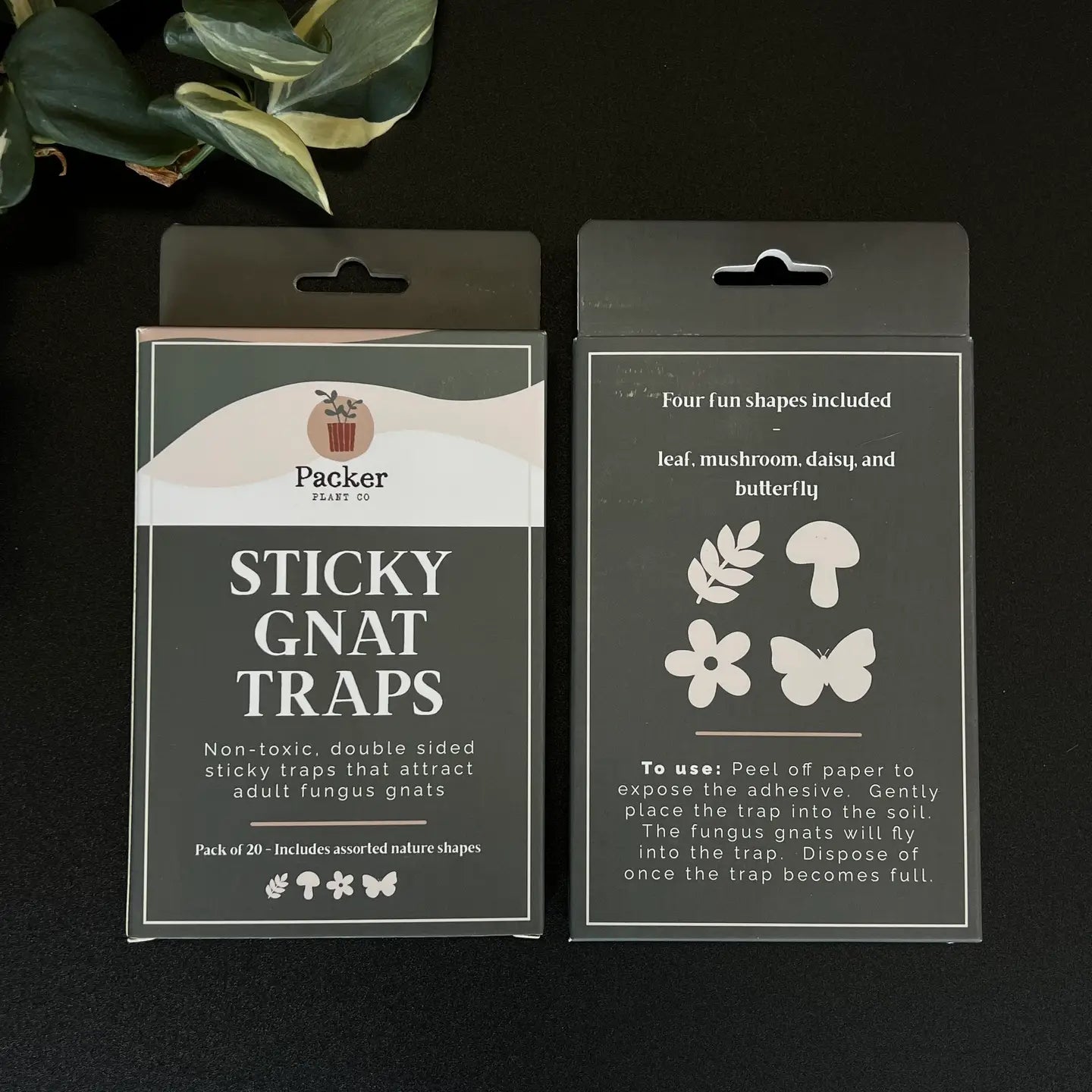 Sticky Gnat Trap (Pack of 20)