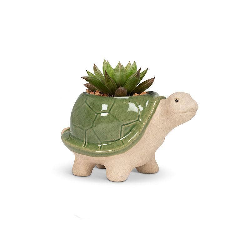 Sm Turtle Planter-Green