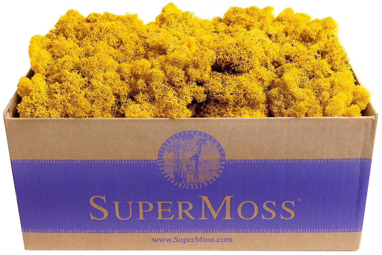 Reindeer Moss Preserved 3lb Bulk Box: Chartreuse