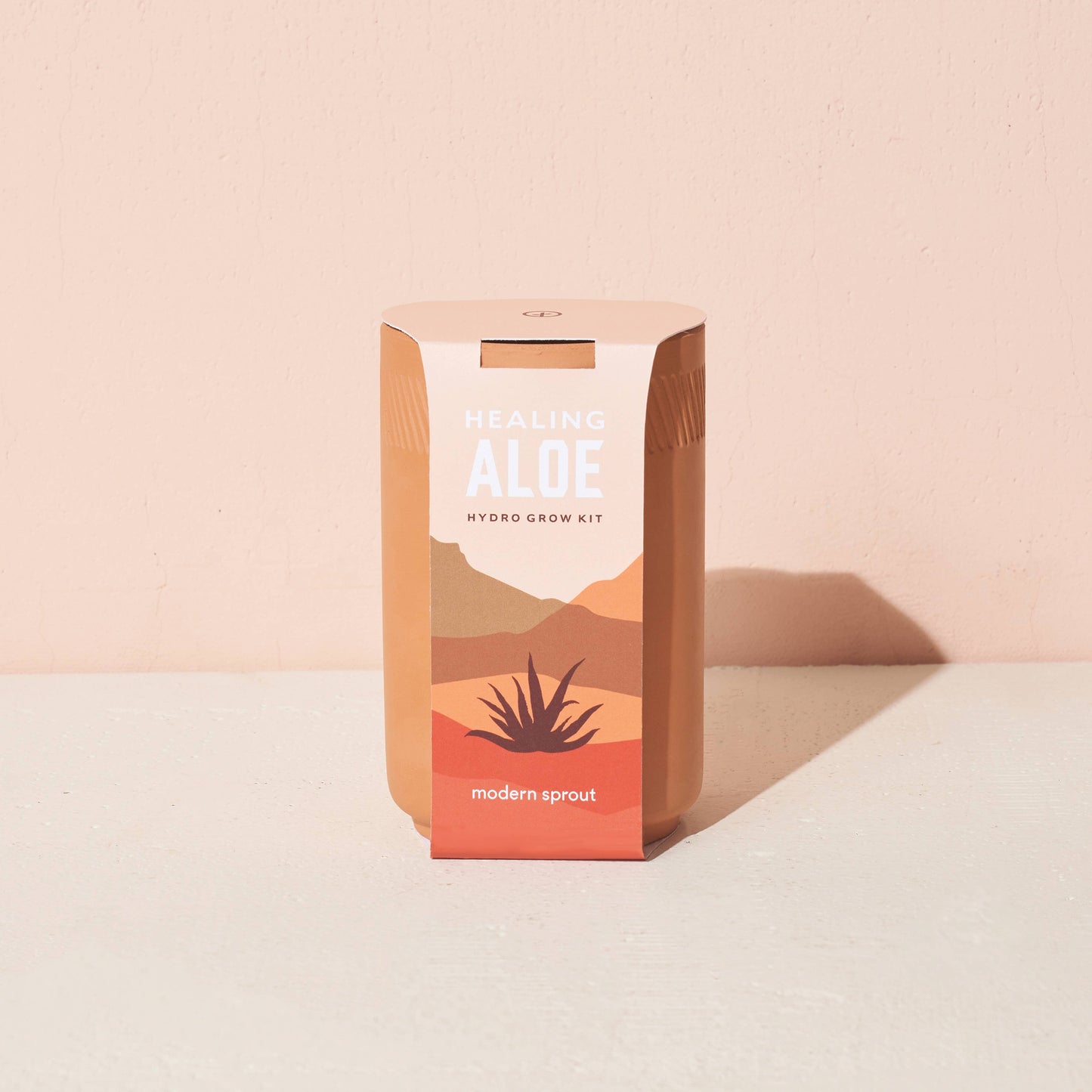 Terracotta Grow Kit: Desert Rose Bonsai