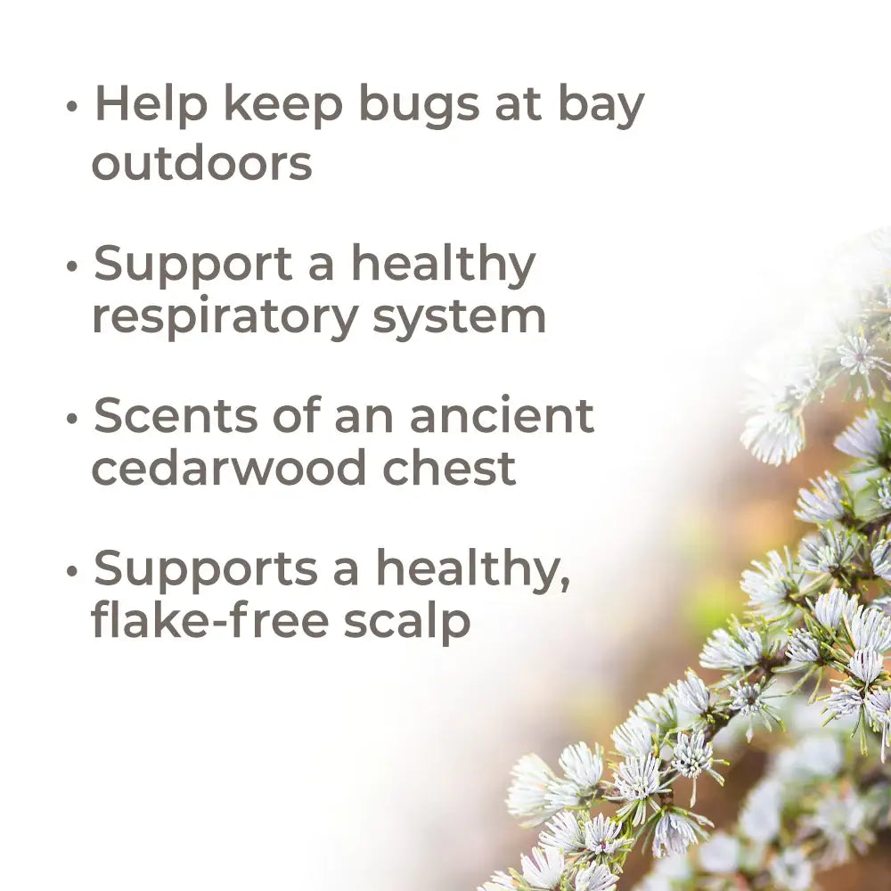 Organic Atlas Cedarwood Essential Oil 10 mL