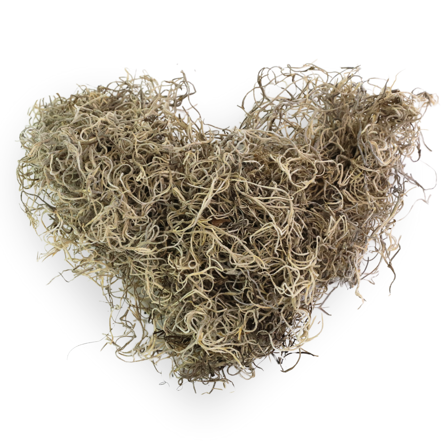 Premium Dried Spanish Moss