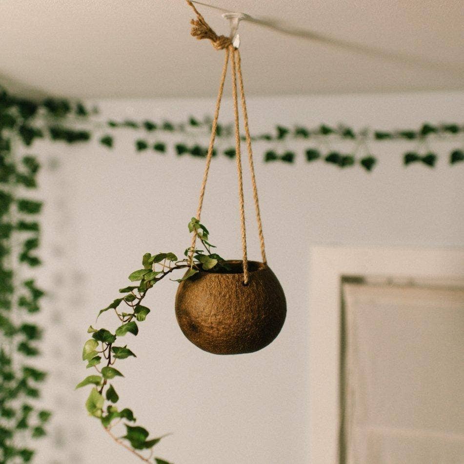 coconut plant hanger Hanging Coconut Planter with Jute Twine