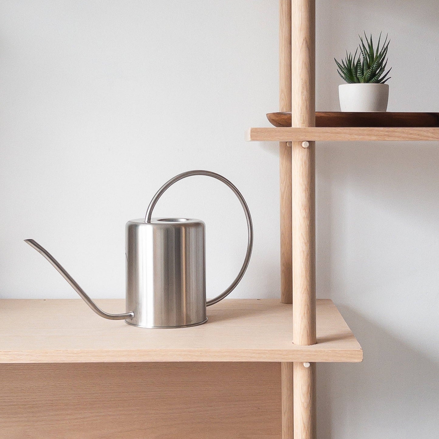 2L Stainless Steel Watering Can: White
