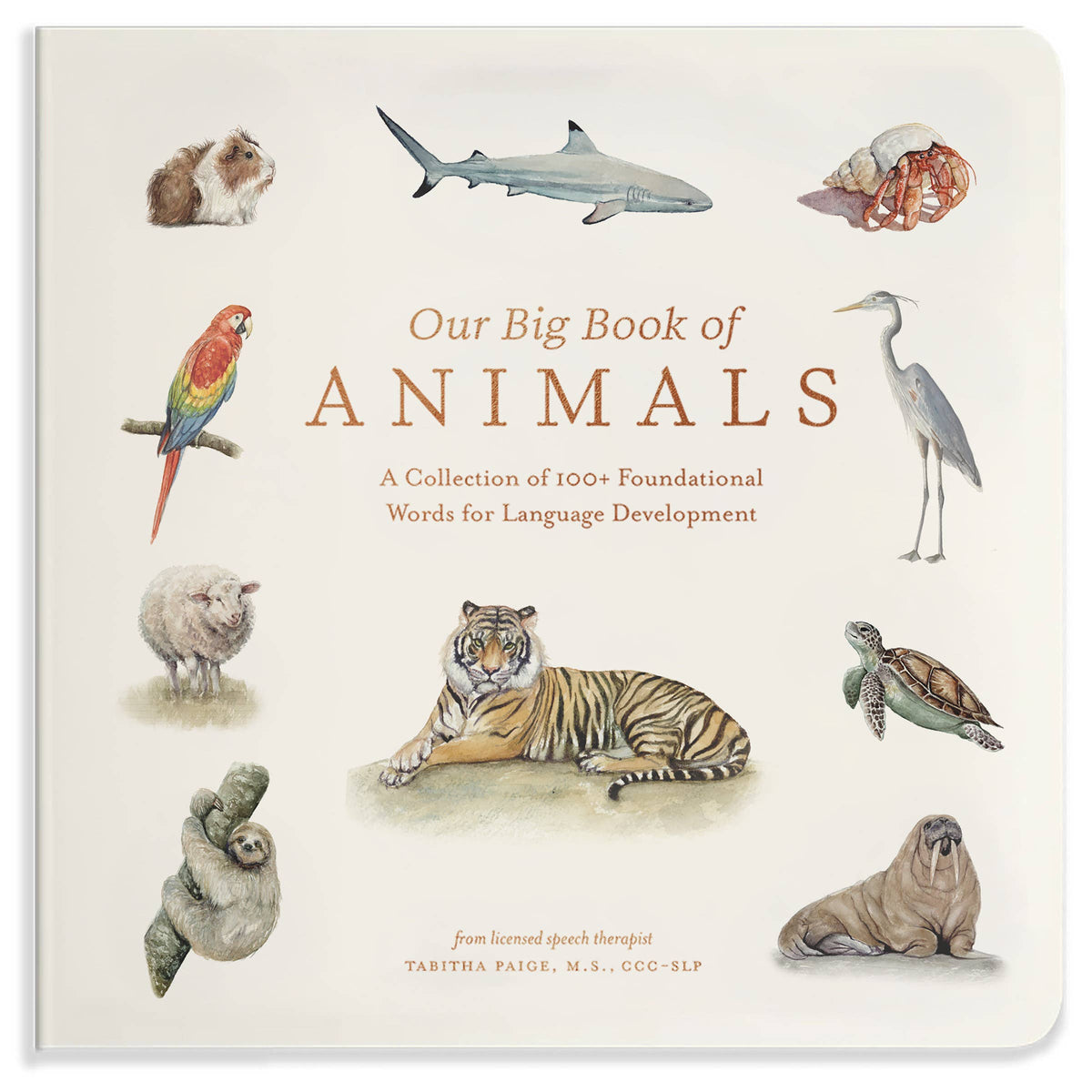 Our Big Book of Animals