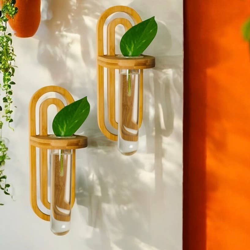 Bamboo Propagation Wall Hanger