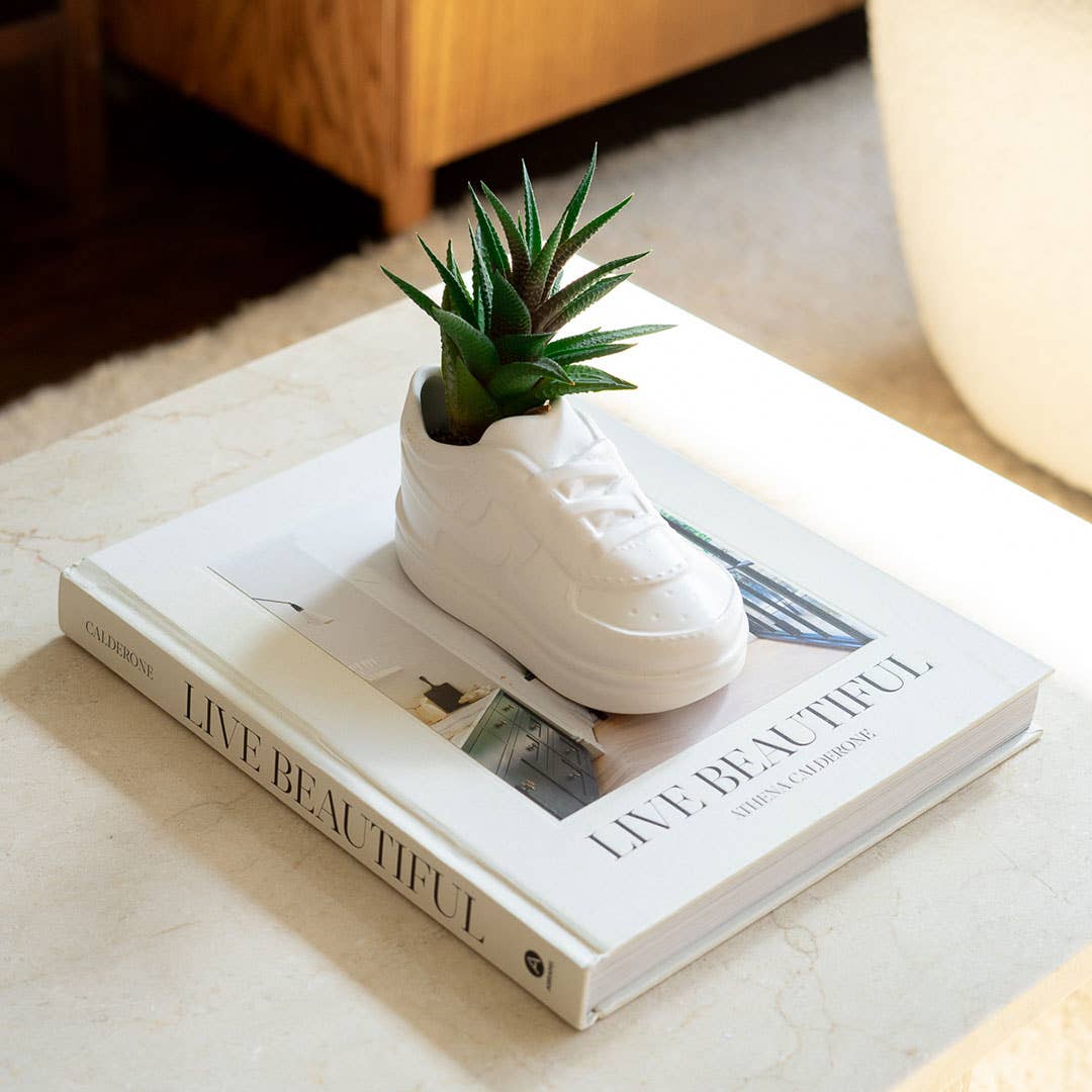 Force Sneaker Plant Pot