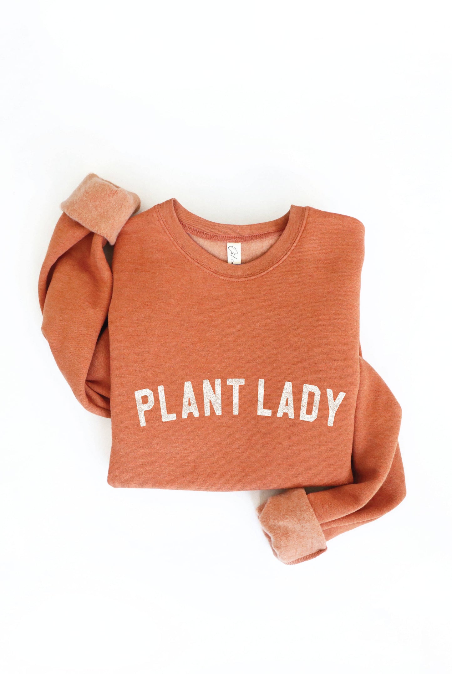 PLANT LADY Print Graphic Sweatshirt: MAUVE / XL