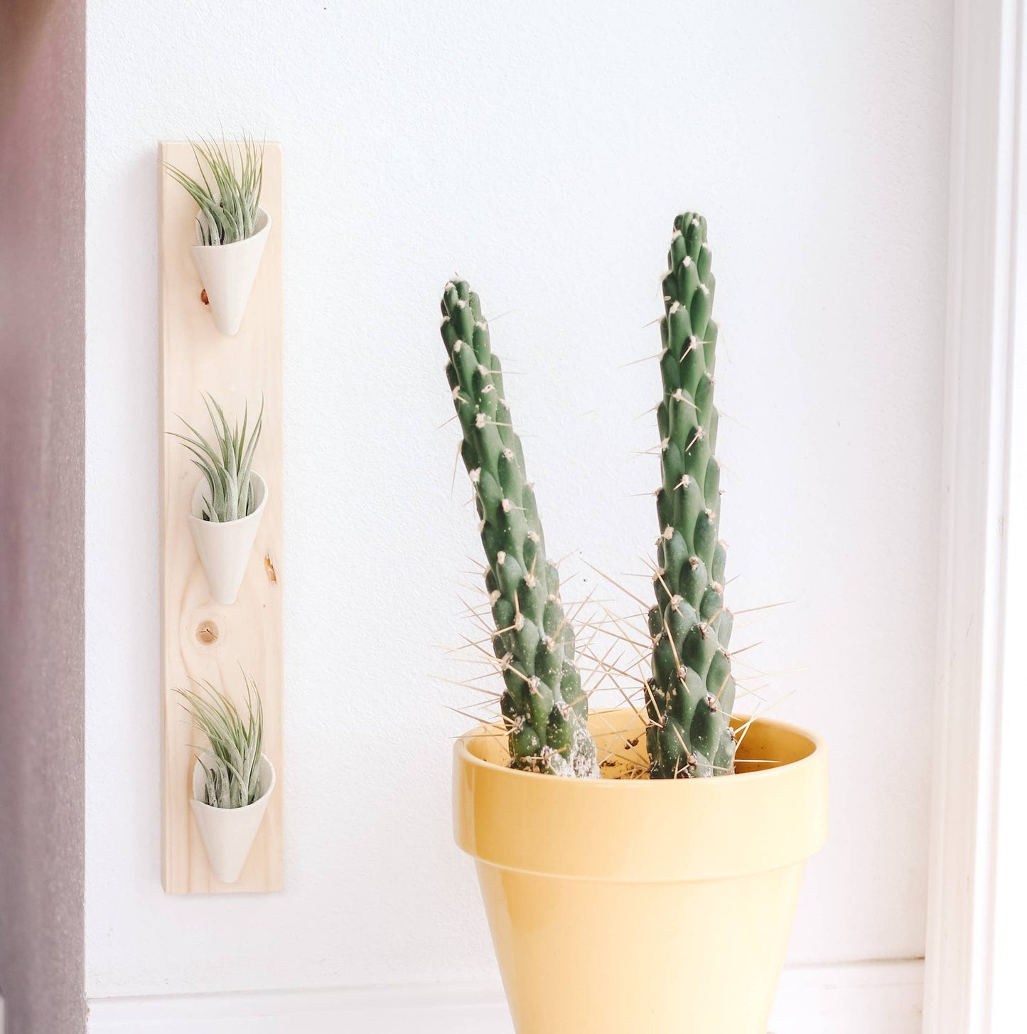 Ceramic Wall Planter - Triple