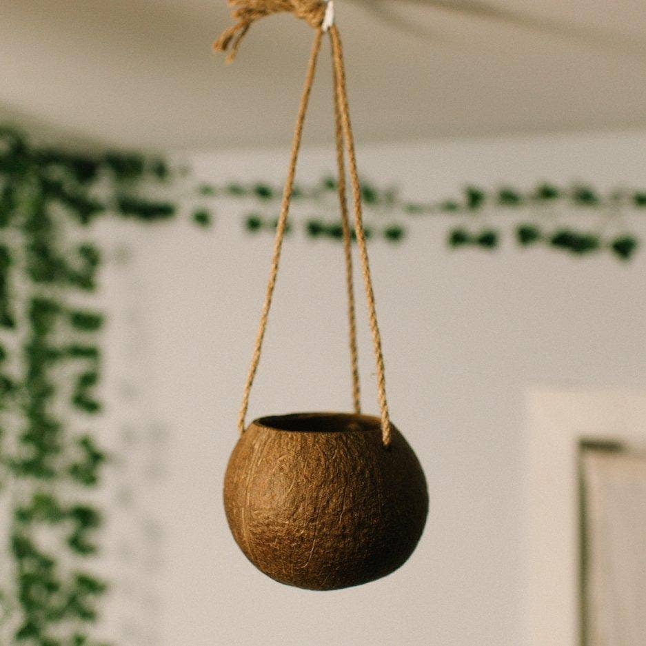 Hanging Coconut Planter