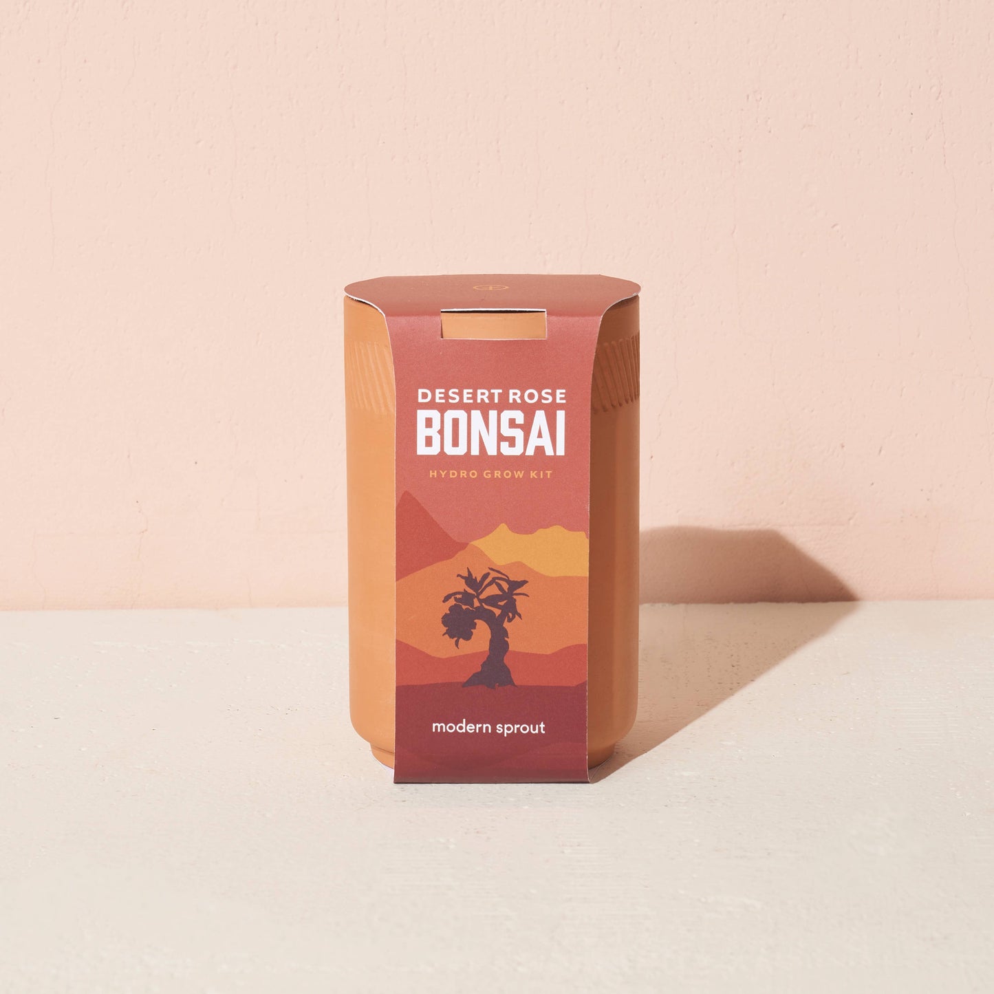 Terracotta Grow Kit: Desert Rose Bonsai