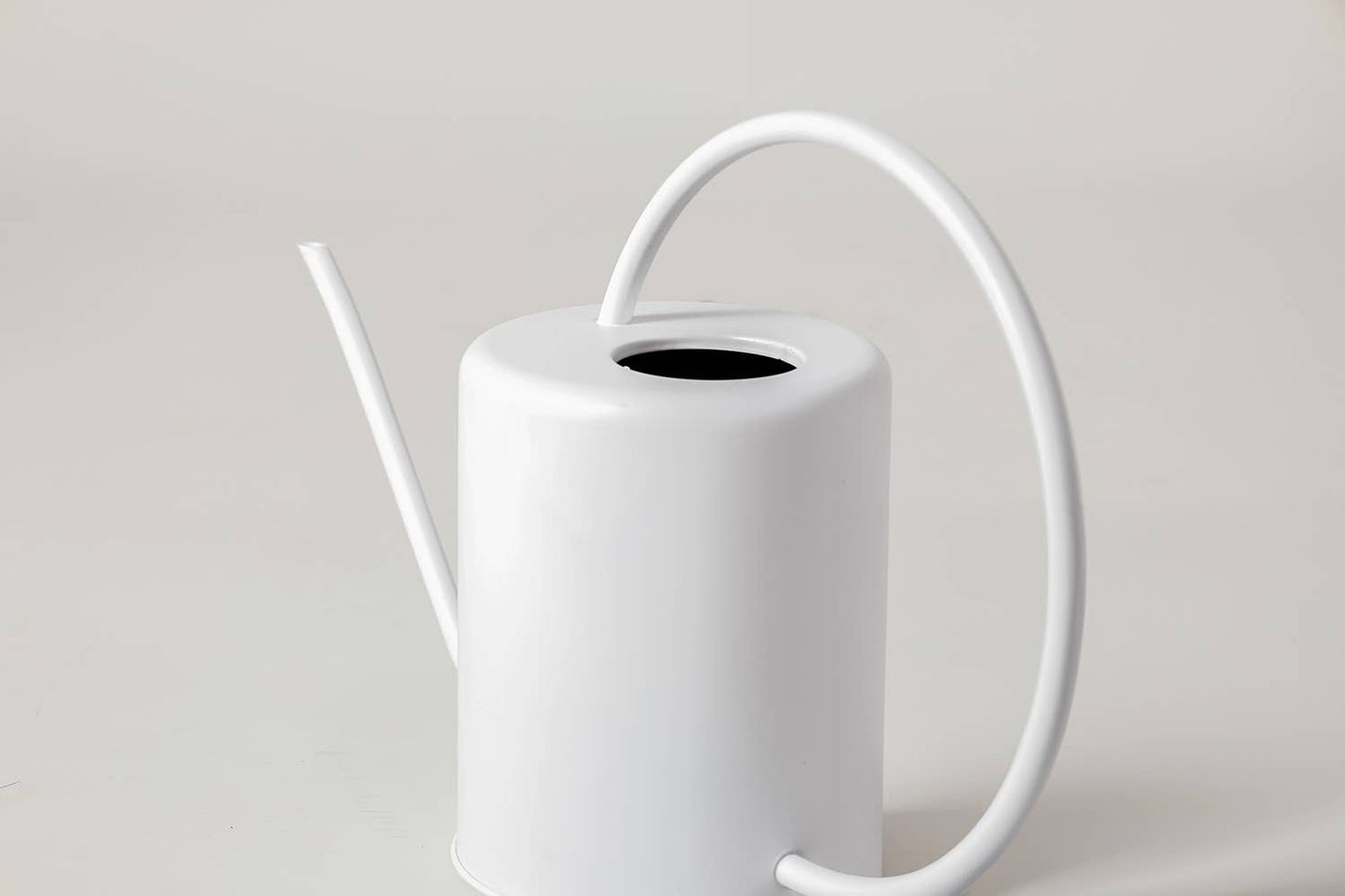 2L Stainless Steel Watering Can: White