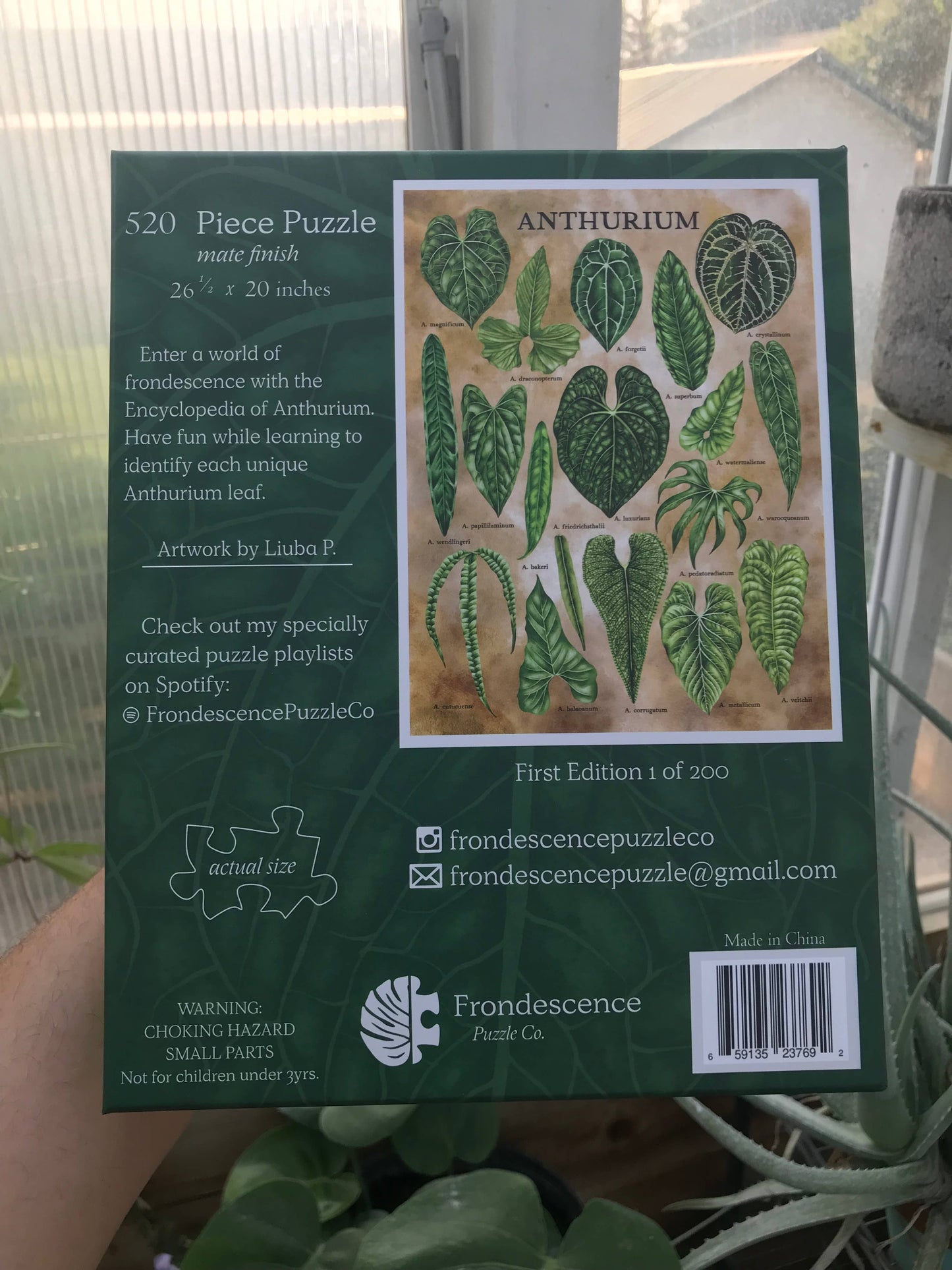 Encyclopedia ANTHURIUM Puzzle | 520 Piece Puzzle