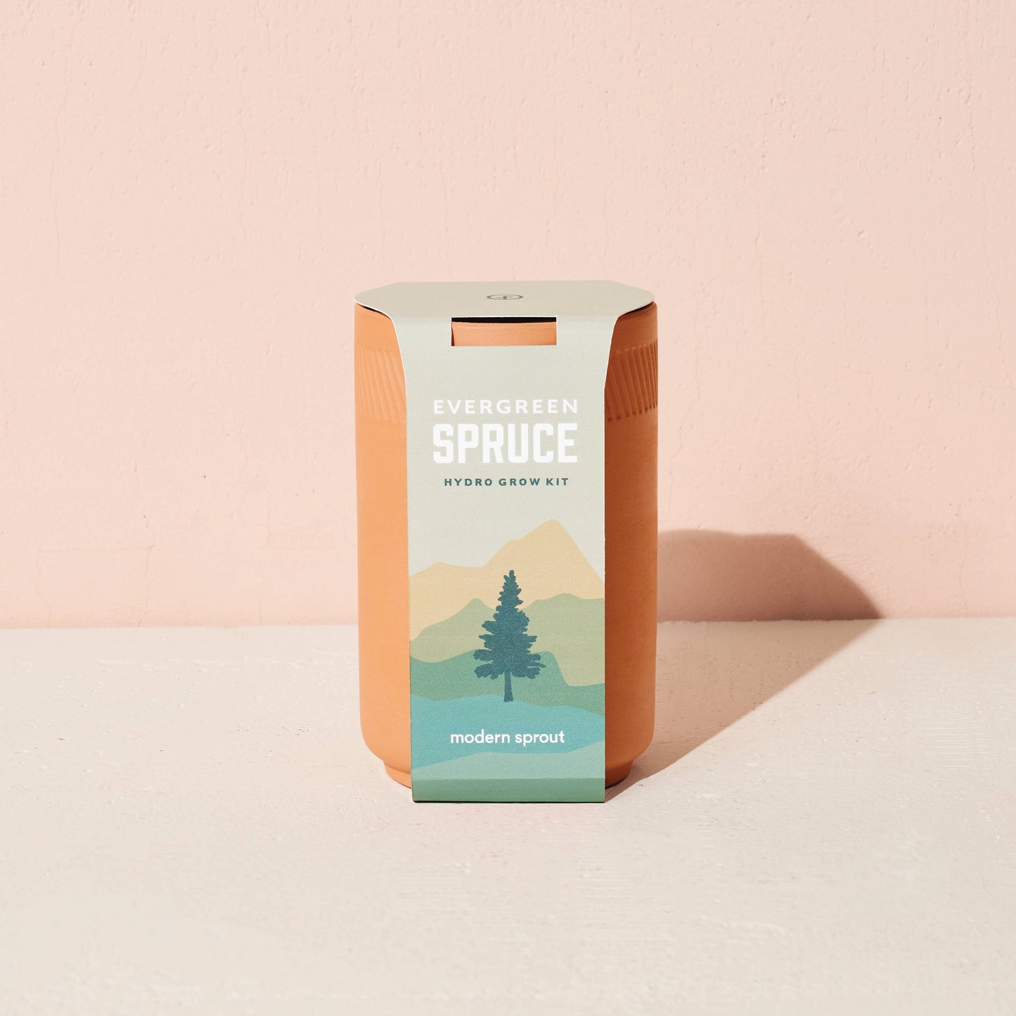 Terracotta Grow Kit: Desert Rose Bonsai