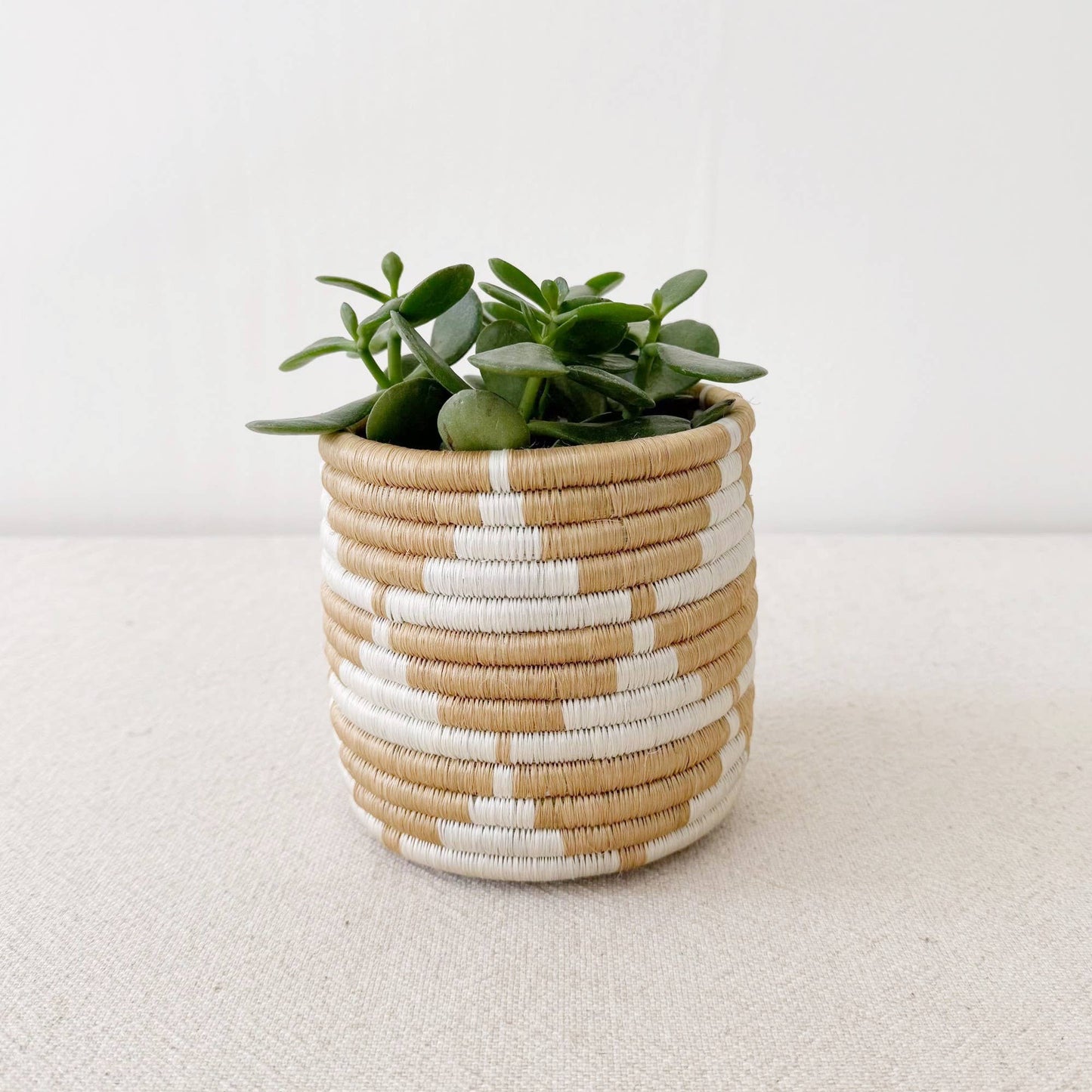 Storage Plant Basket (Set of 3): Zaza