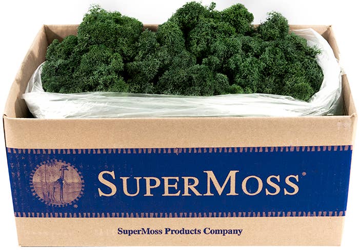 Reindeer Moss Preserved 3lb Bulk Box: Chartreuse