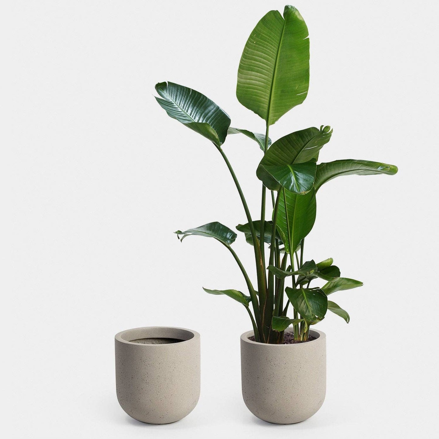 Wythe 30 Large Planter: Slate