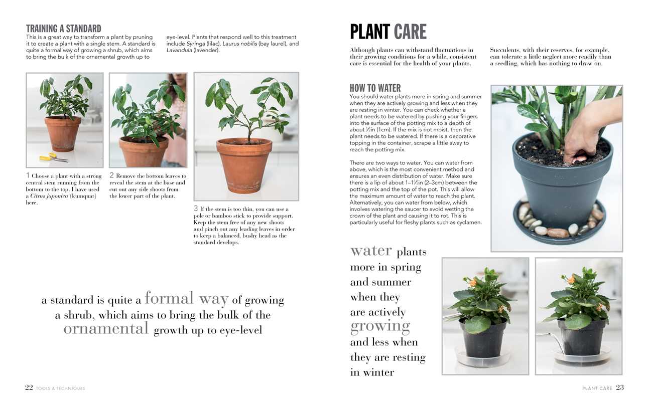 Joy of Living with Plants by Isabelle Palmer