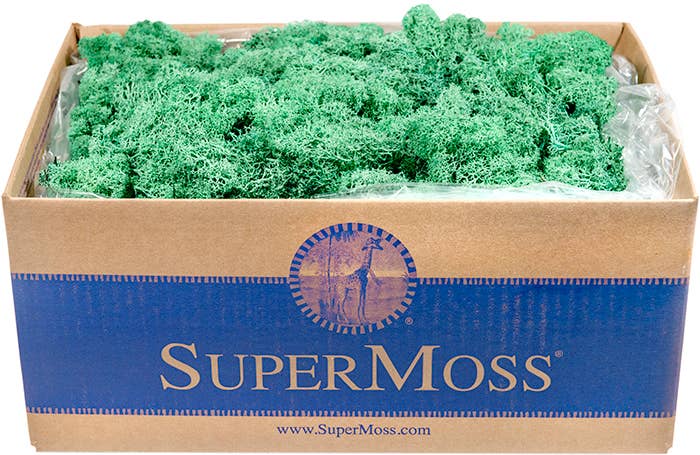 Reindeer Moss Preserved 3lb Bulk Box: Chartreuse
