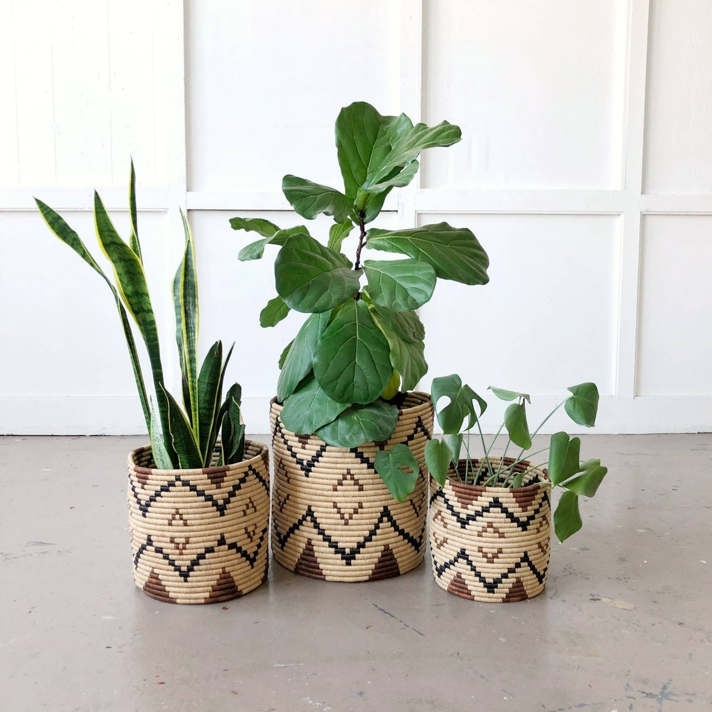 Storage Plant Basket: Ruzizi: 10" x 10"