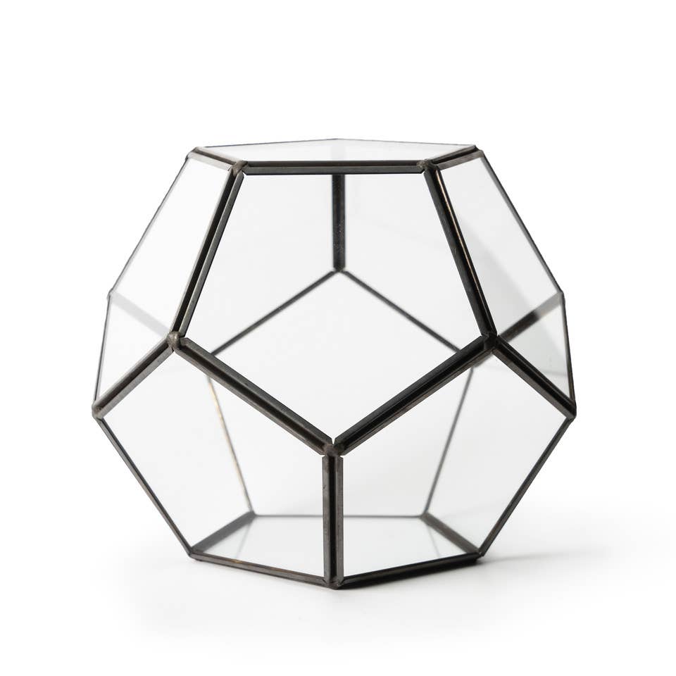 Glass Terrarium Dome Kit