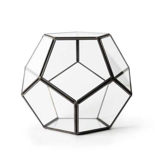Glass Terrarium Dome Kit
