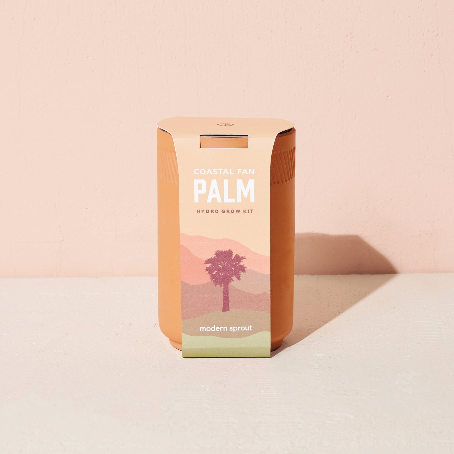 Terracotta Grow Kit: Healing Aloe