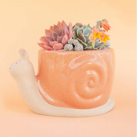 Snail Planter | Sunset | M