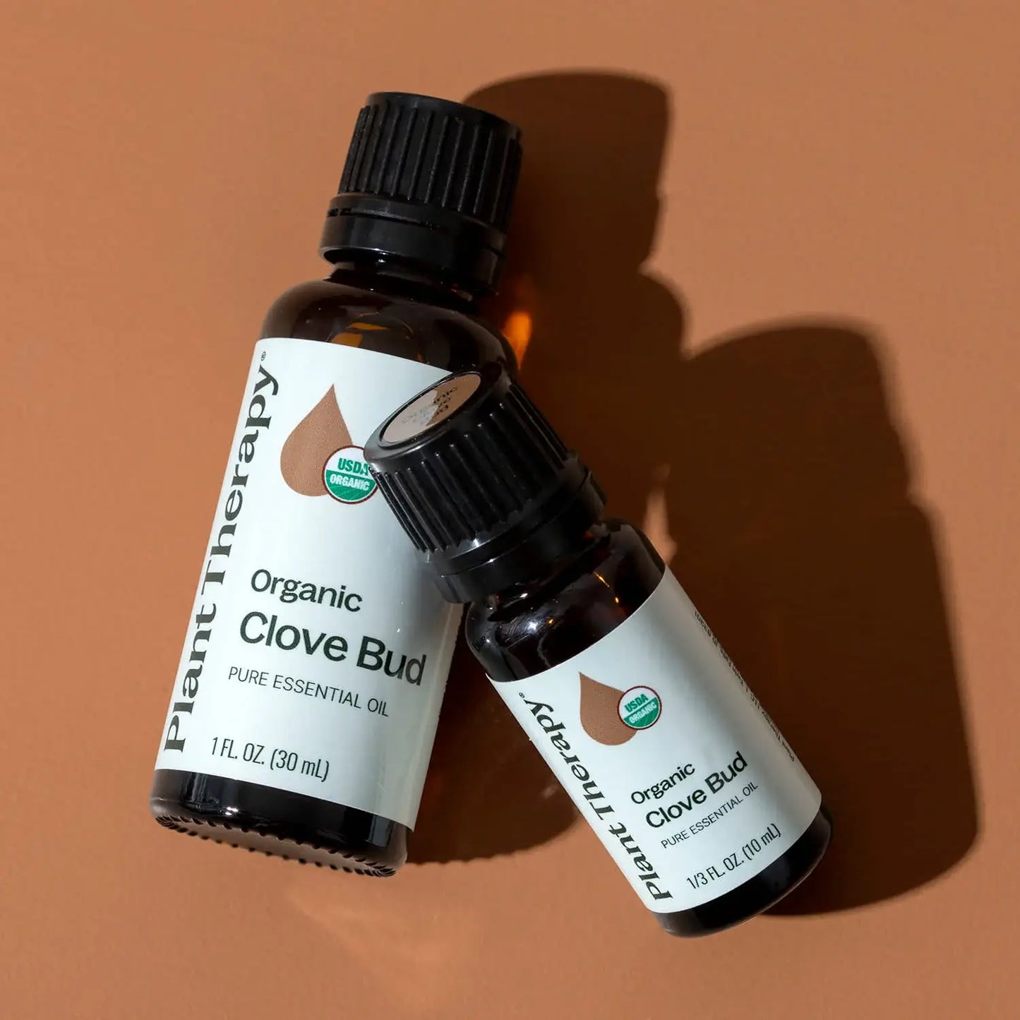Organic Clove Bud Essential Oil 10 mL