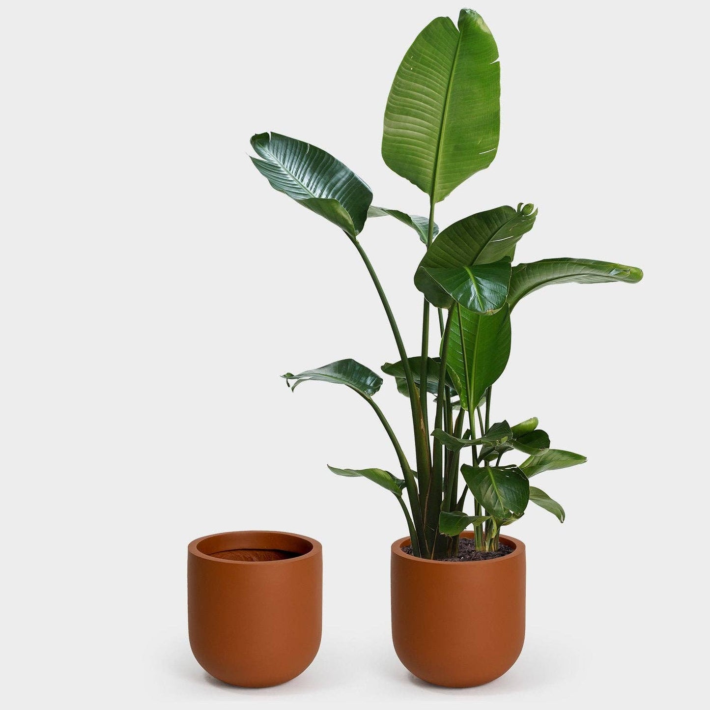 Wythe 30 Large Planter: Slate