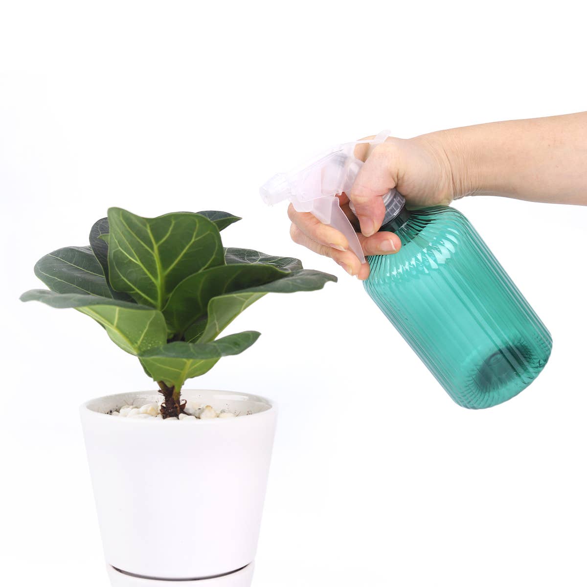 16.9oz Plastic Spray Bottle, Mister For Plants, 3 Colors