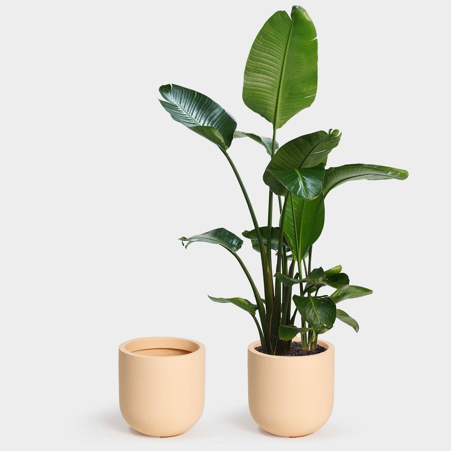 Wythe 30 Large Planter: Slate