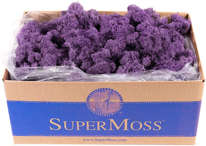 Reindeer Moss Preserved 3lb Bulk Box: Chartreuse