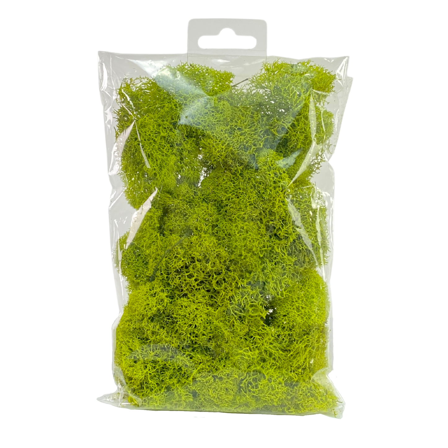 Premium Reindeer Moss - Small Bag: Kiwi